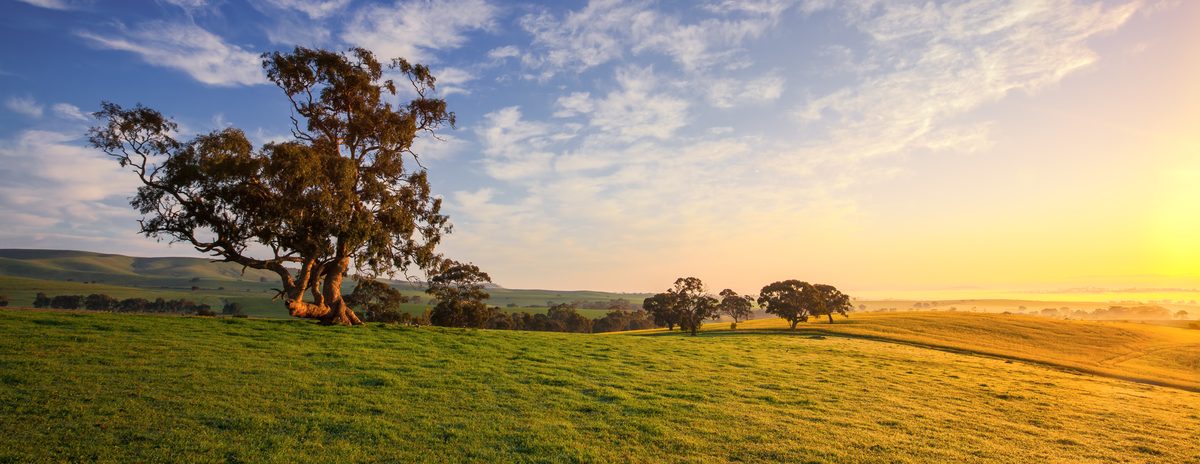 Grazing country at first light, the kind of land large-scale projects are built on